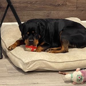 Meet your Posher, Ed